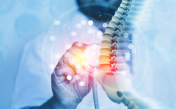 Orthopedic